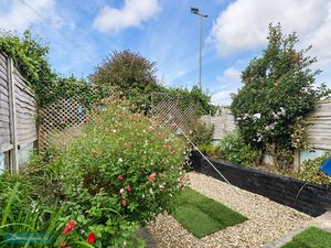 Garden- click for photo gallery
